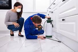 Emergency Pest Control Services in Bardonia, NY